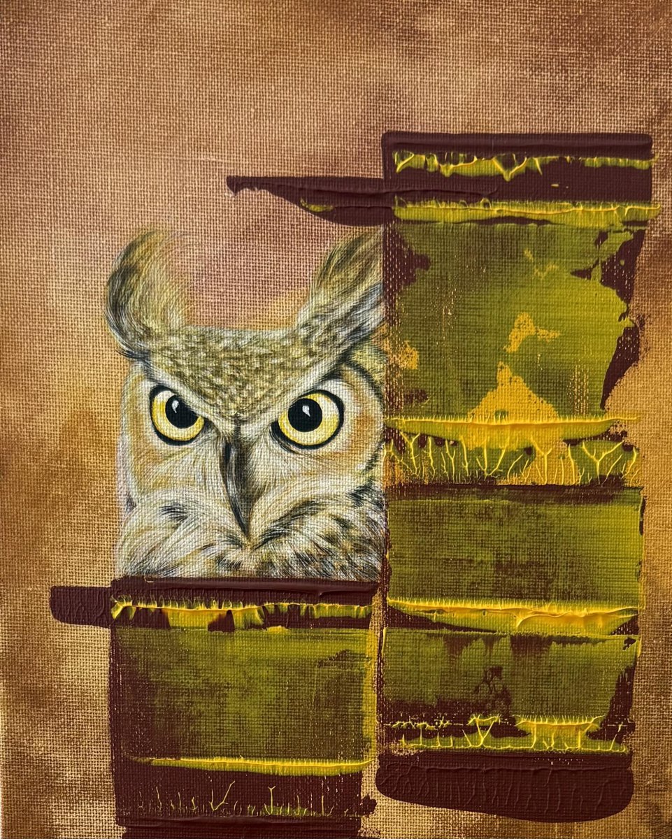 Wild geometrie
 - Laura Anido-Serrano