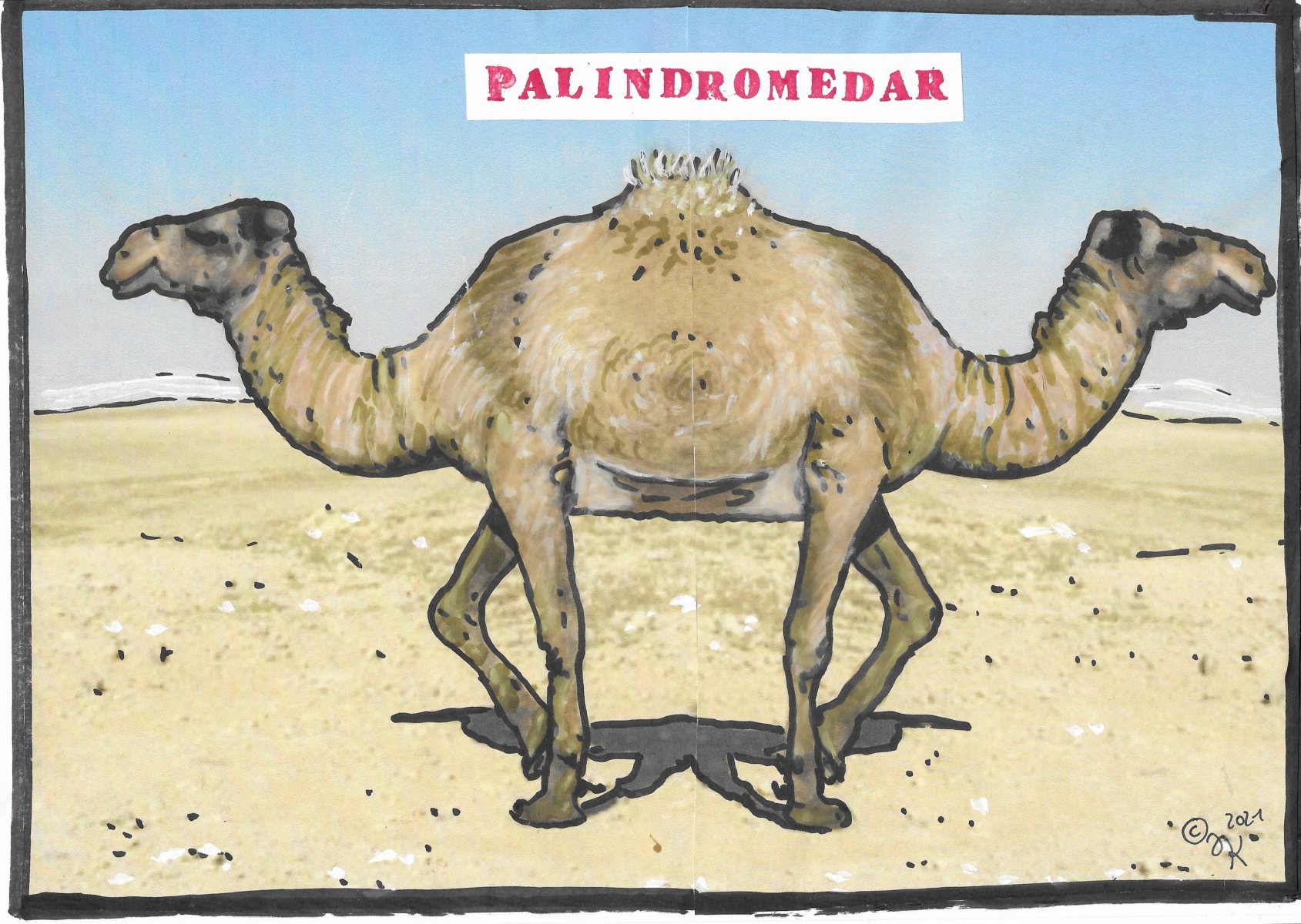 Palindromedar - Juli A. Kaiser