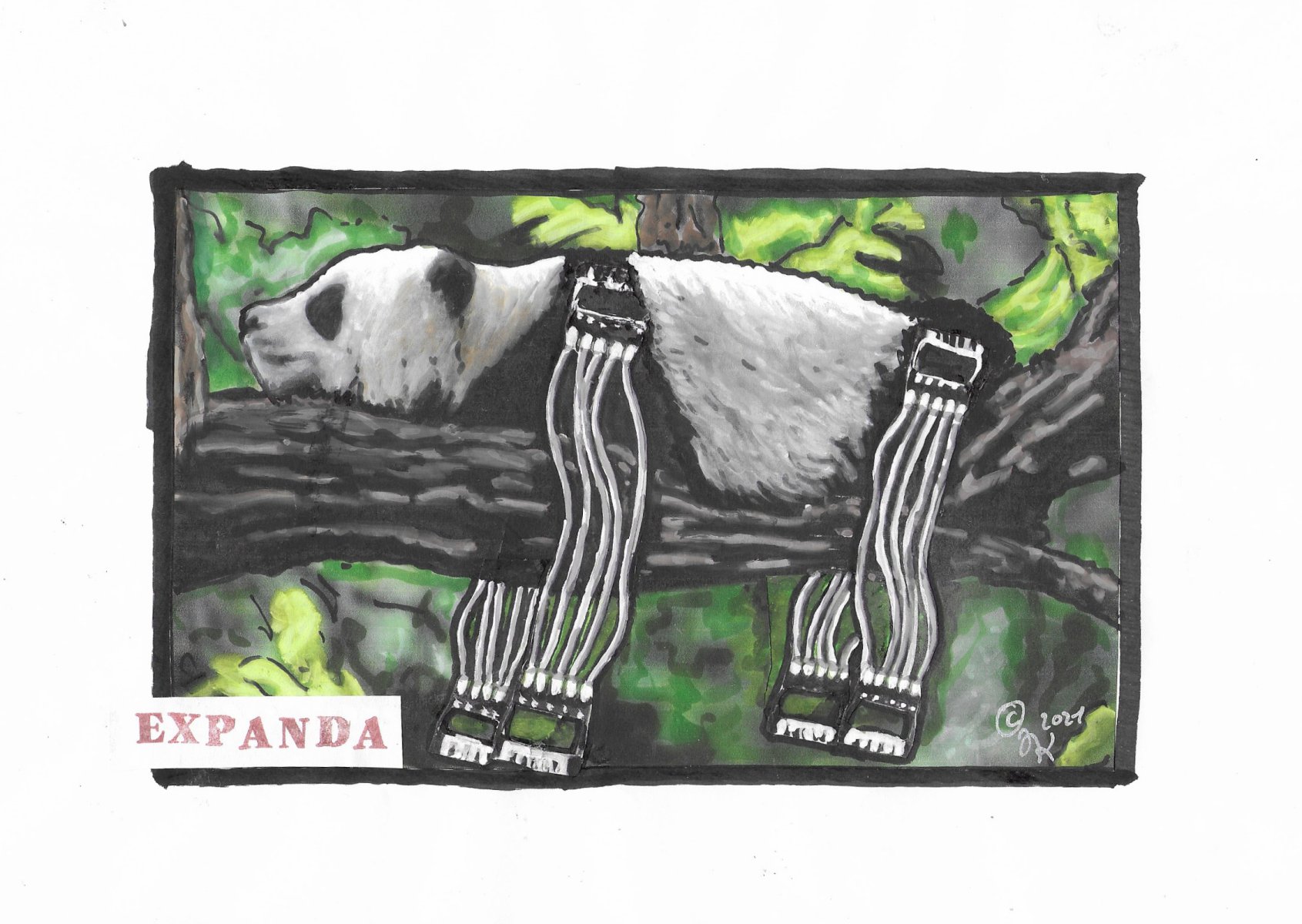 Expanda - Juli A. Kaiser