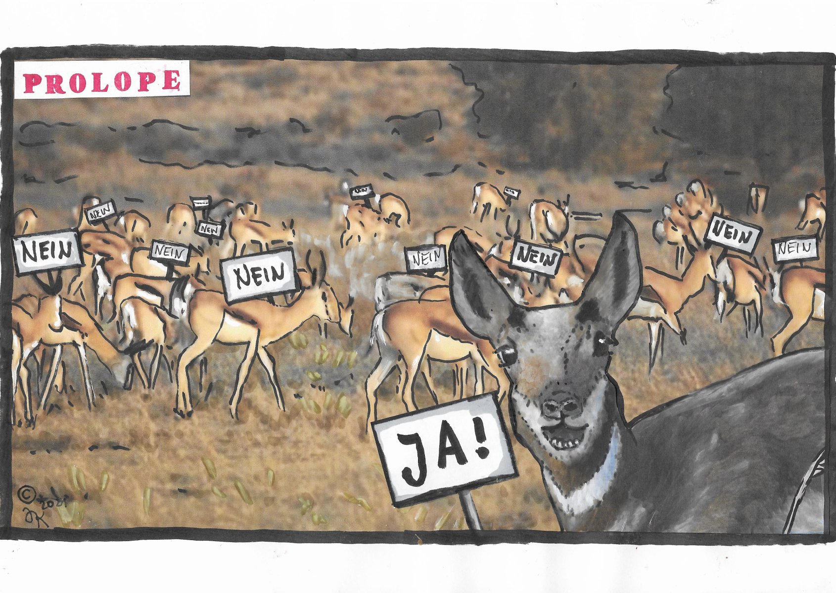 Prolope - Juli A. Kaiser