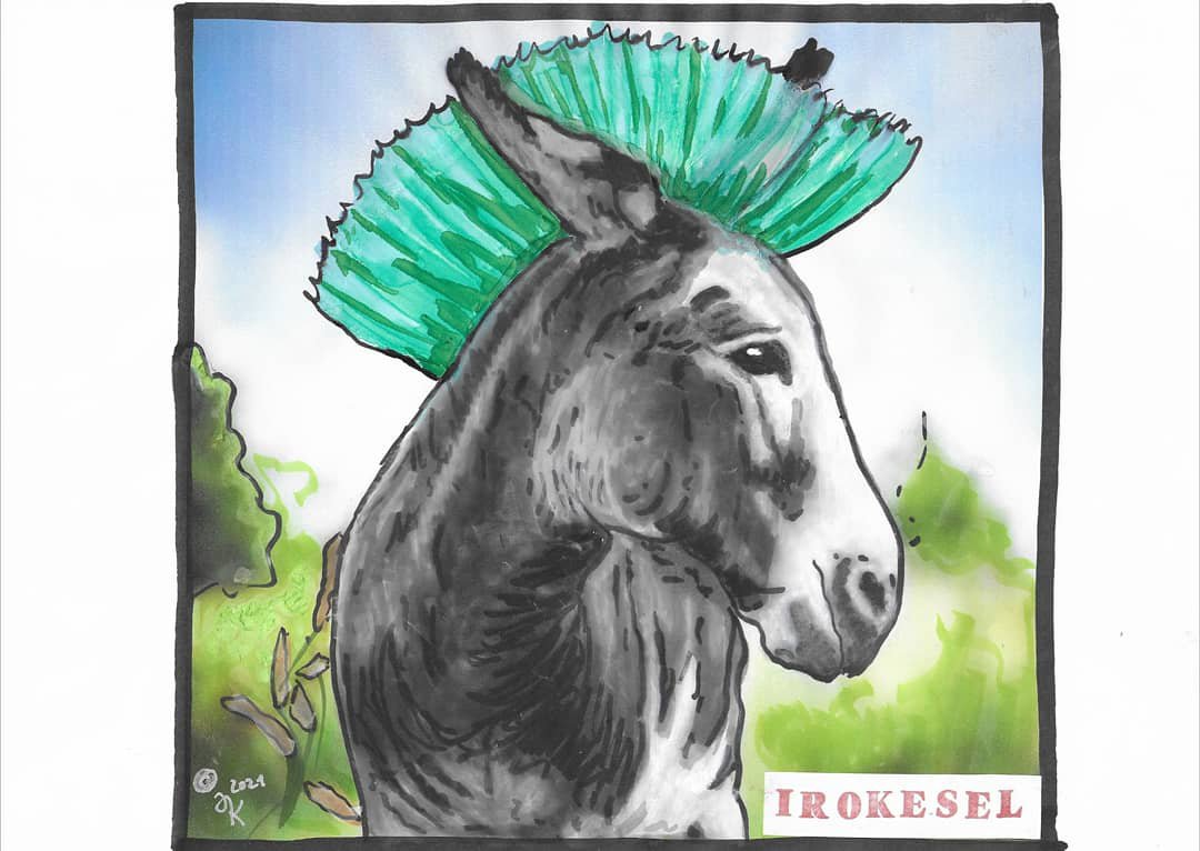 Irokesel - Juli A. Kaiser