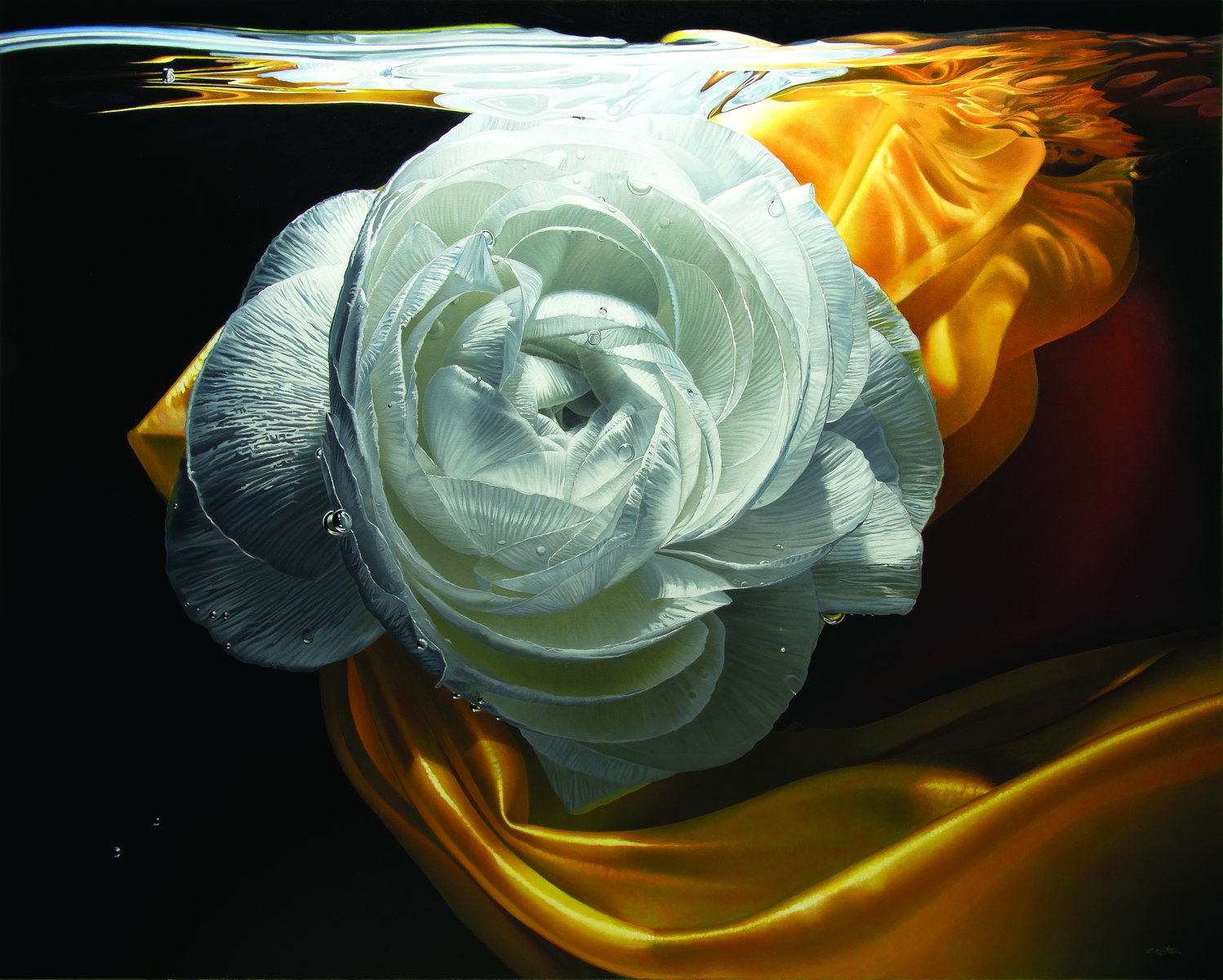 S E R E N I T Y - FRANCOIS CHARTIER