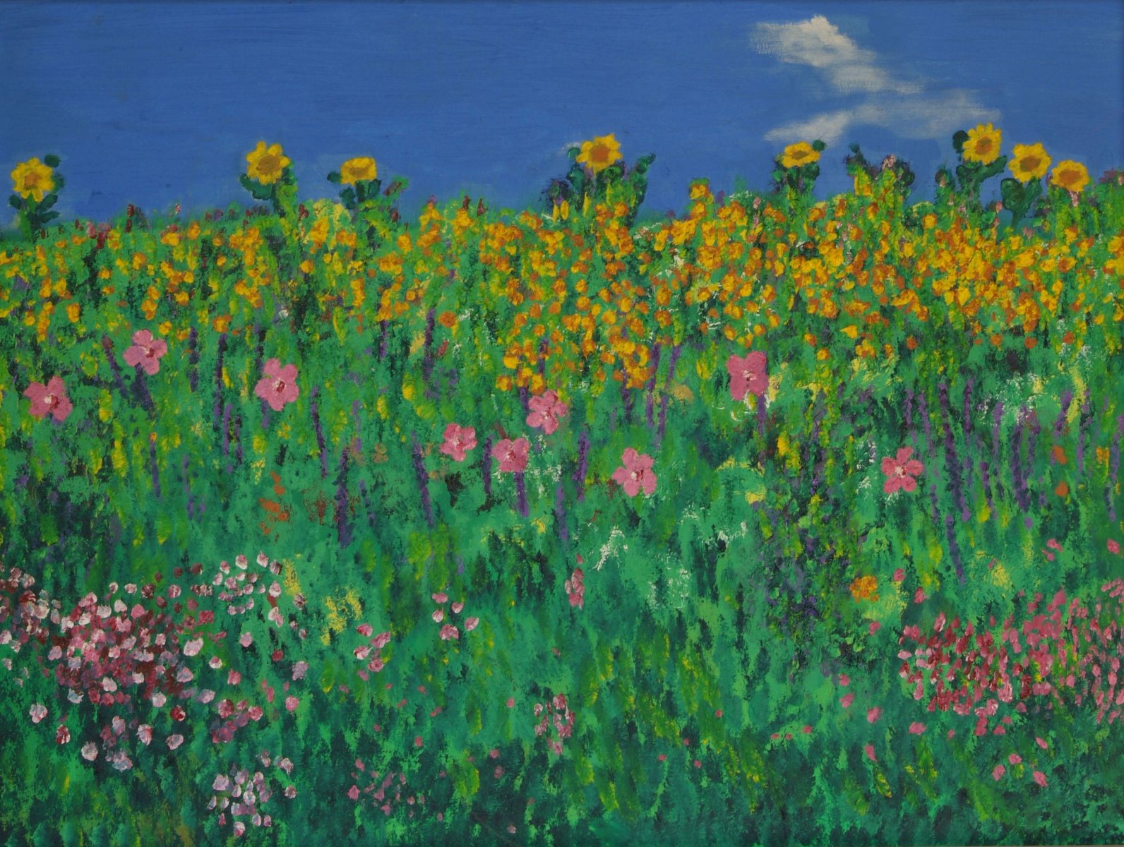 Möllemann - Blumenwiese