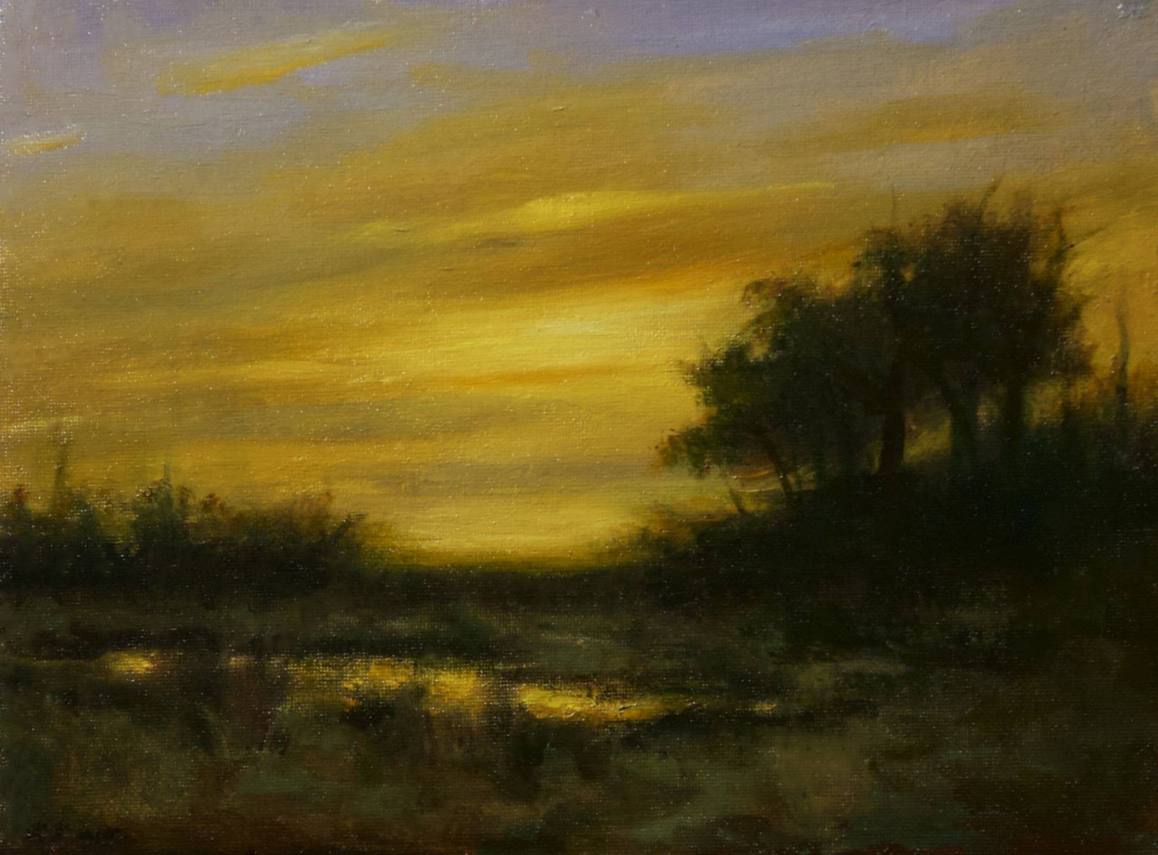 Golden Evening - Rose Freymuth-Frazier