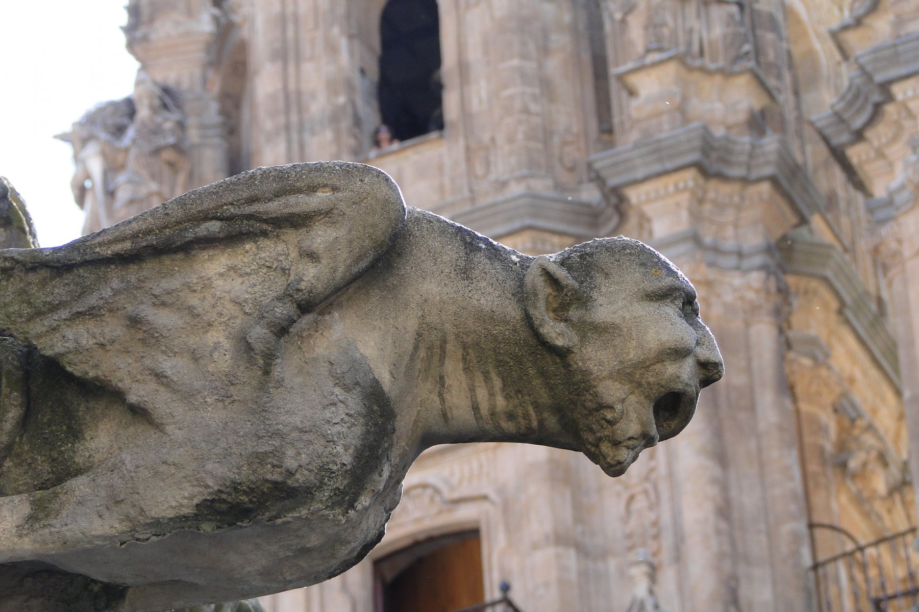 Salamanca de paseo - Christoph Lütke-Stetzkamp