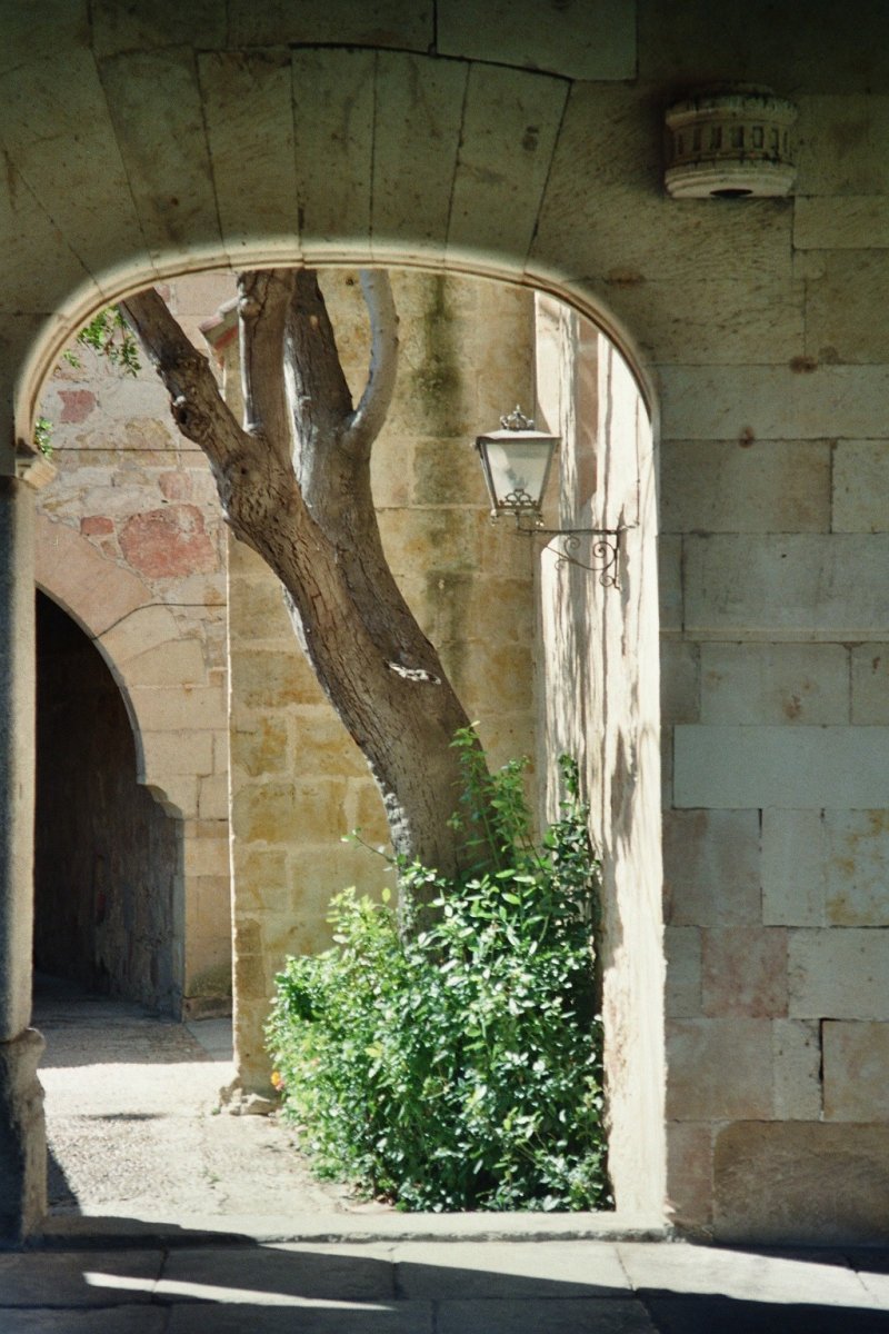 Salamanca de paseo - Christoph Lütke-Stetzkamp